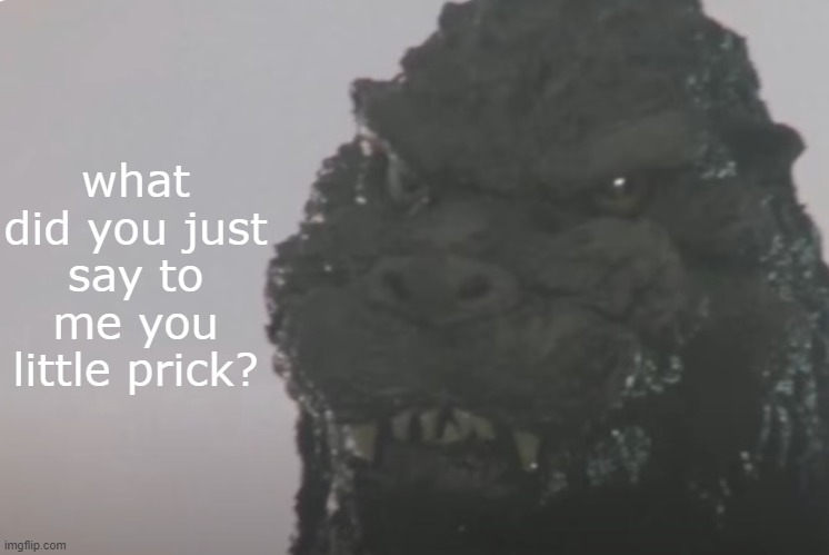 what did you just say to me you little prick? Blank Meme Template