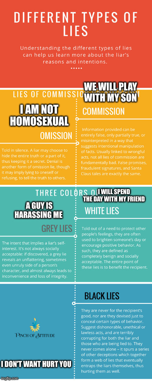 lies | WE WILL PLAY WITH MY SON; I AM NOT HOMOSEXUAL; I WILL SPEND THE DAY WITH MY FRIEND; A GUY IS HARASSING ME; I DON'T WANT HURT YOU | image tagged in lies | made w/ Imgflip meme maker
