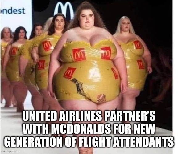 Flight attendants are to sexy | UNITED AIRLINES PARTNER’S WITH MCDONALDS FOR NEW GENERATION OF FLIGHT ATTENDANTS | image tagged in exporting big,memes,funny,funny memes | made w/ Imgflip meme maker