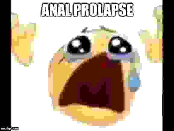 Prolapse | image tagged in prolapse | made w/ Imgflip meme maker
