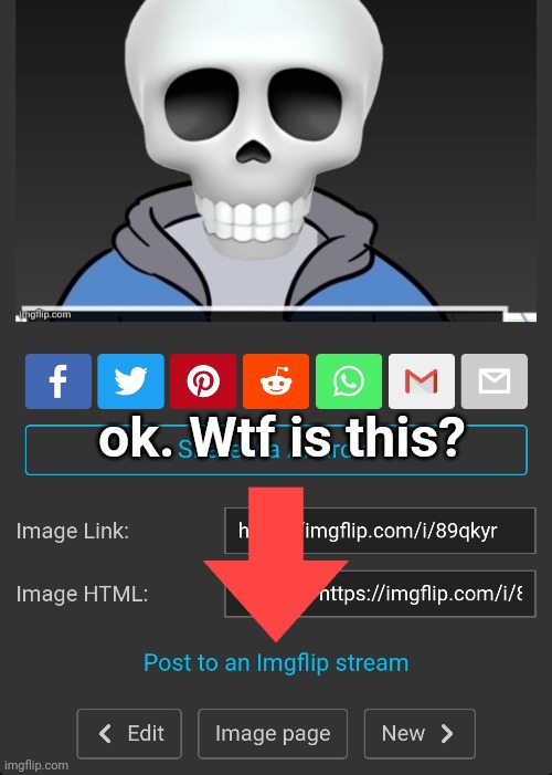 ok. Wtf is this? | made w/ Imgflip meme maker