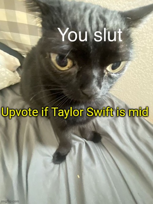 You slut | Upvote if Taylor Swift is mid | image tagged in you slut | made w/ Imgflip meme maker