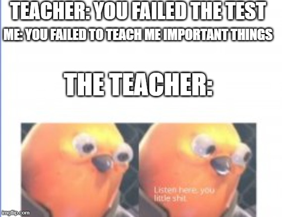 This is where I get beat when I get home :) | TEACHER: YOU FAILED THE TEST; ME: YOU FAILED TO TEACH ME IMPORTANT THINGS; THE TEACHER: | image tagged in teacher meme,school meme,funny meme | made w/ Imgflip meme maker