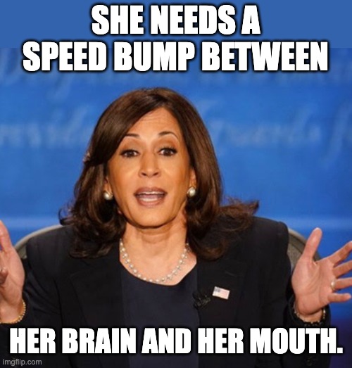 Fast paced word Salad | SHE NEEDS A SPEED BUMP BETWEEN; HER BRAIN AND HER MOUTH. | image tagged in kamala harris | made w/ Imgflip meme maker