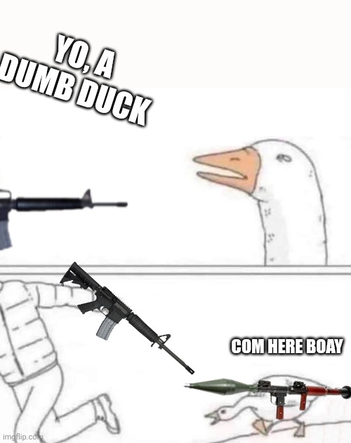 Goose Chase | YO, A DUMB DUCK; COM HERE BOAY | image tagged in goose chase | made w/ Imgflip meme maker