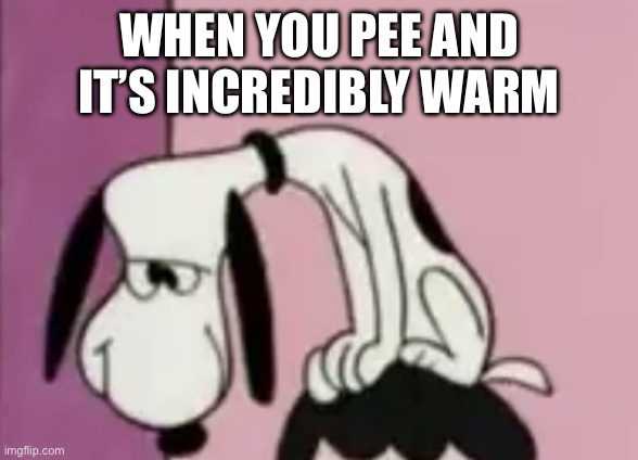 The snoops | WHEN YOU PEE AND IT’S INCREDIBLY WARM | image tagged in the snoops | made w/ Imgflip meme maker