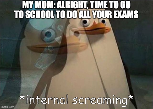 Fr | MY MOM: ALRIGHT, TIME TO GO TO SCHOOL TO DO ALL YOUR EXAMS | image tagged in private internal screaming,exams,sucks | made w/ Imgflip meme maker