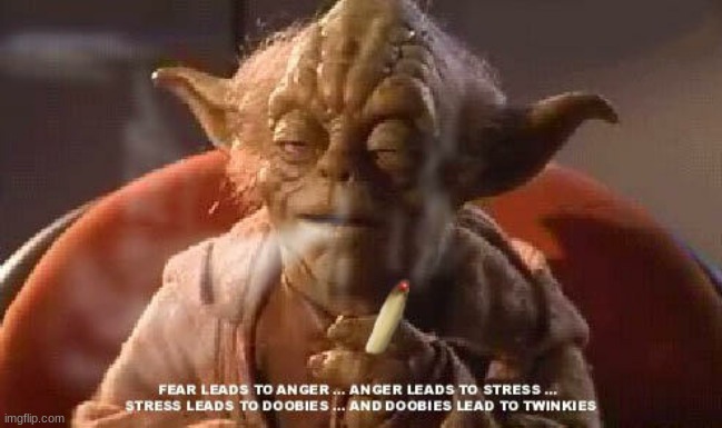 Yoda smoking weed | image tagged in yoda smoking weed | made w/ Imgflip meme maker