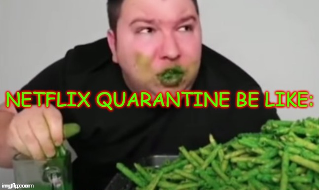 Quarantine Be Like | NETFLIX QUARANTINE BE LIKE: | image tagged in nikocado avocado | made w/ Imgflip meme maker