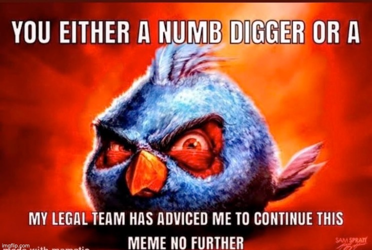 oof | image tagged in you either a numb digger or a my legal team | made w/ Imgflip meme maker