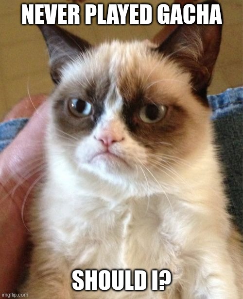 e | NEVER PLAYED GACHA; SHOULD I? | image tagged in memes,grumpy cat | made w/ Imgflip meme maker