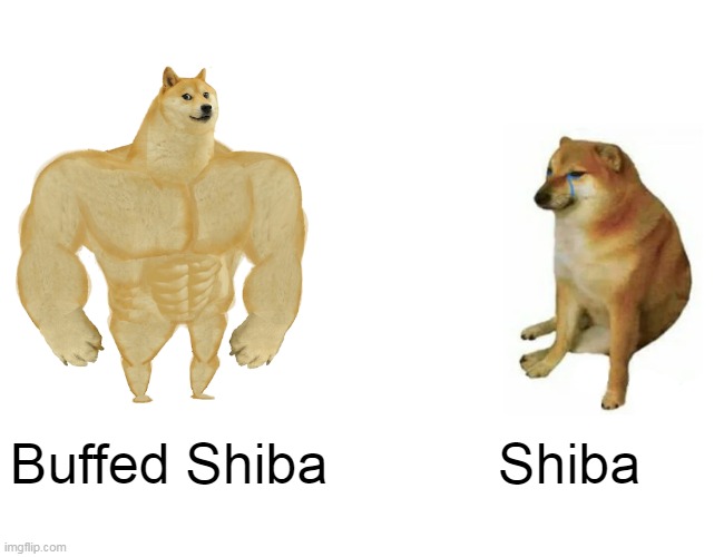 Buff Doge vs. Cheems Meme | Buffed Shiba; Shiba | image tagged in memes,buff doge vs cheems | made w/ Imgflip meme maker