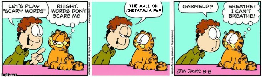 terrifying | THE MALL ON CHRISTMAS EVE | image tagged in garfield scary word | made w/ Imgflip meme maker