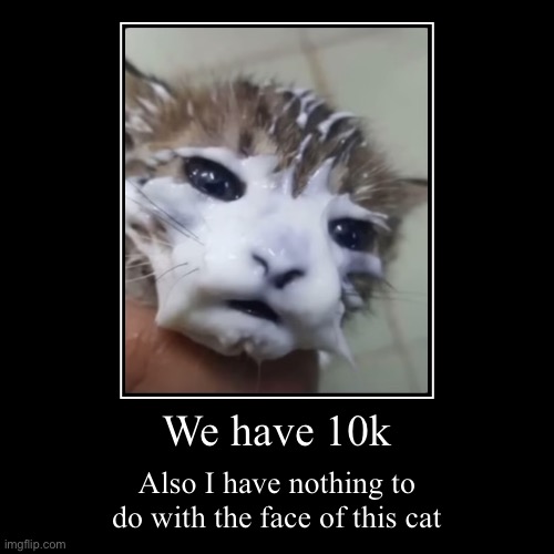 Lol | We have 10k | Also I have nothing to do with the face of this cat | image tagged in funny,demotivationals | made w/ Imgflip demotivational maker