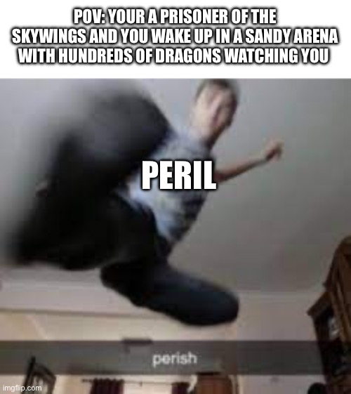 Perish kick | POV: YOUR A PRISONER OF THE SKYWINGS AND YOU WAKE UP IN A SANDY ARENA WITH HUNDREDS OF DRAGONS WATCHING YOU; PERIL | image tagged in perish kick | made w/ Imgflip meme maker