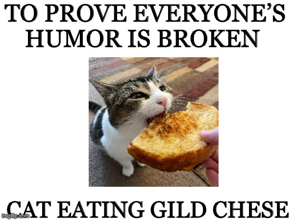 I bet this will be popular | TO PROVE EVERYONE’S HUMOR IS BROKEN; CAT EATING GILD CHESE | image tagged in funny cats,cats,grilled cheese | made w/ Imgflip meme maker