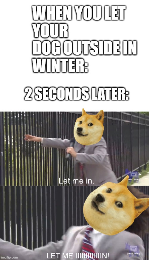 WHEN YOU LET
YOUR DOG OUTSIDE IN
WINTER:; 2 SECONDS LATER: | image tagged in blank white template,let me in | made w/ Imgflip meme maker