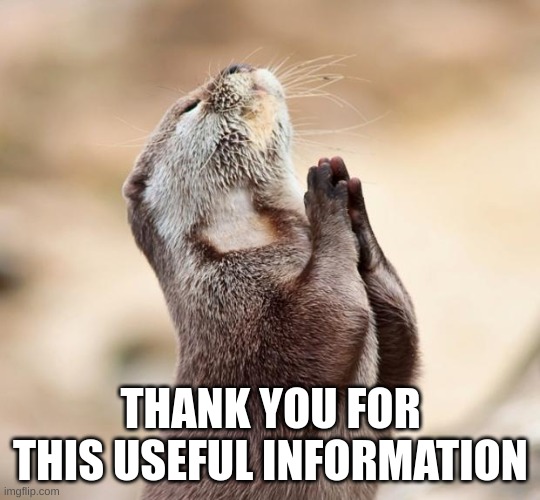 animal praying | THANK YOU FOR THIS USEFUL INFORMATION | image tagged in animal praying | made w/ Imgflip meme maker