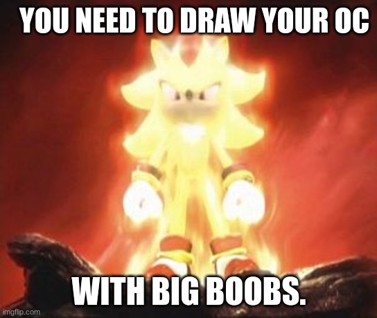 Super Shadow | YOU NEED TO DRAW YOUR OC; WITH BIG BOOBS. | image tagged in super shadow | made w/ Imgflip meme maker