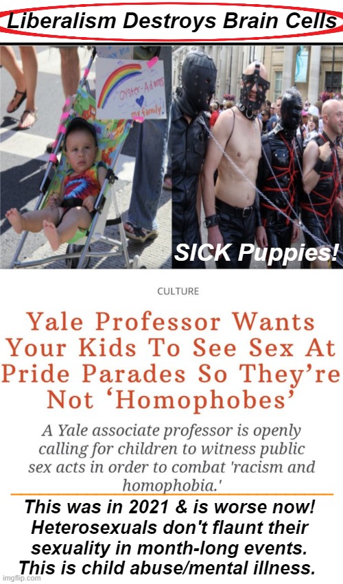 Protect innocent children and common sense! | Liberalism Destroys Brain Cells; SICK Puppies! __________________________________; This was in 2021 & is worse now! 
Heterosexuals don't flaunt their 
sexuality in month-long events. 
This is child abuse/mental illness. | image tagged in politics,pride month,agenda,leftists,liberalism,liberalism is a mental disorder | made w/ Imgflip meme maker
