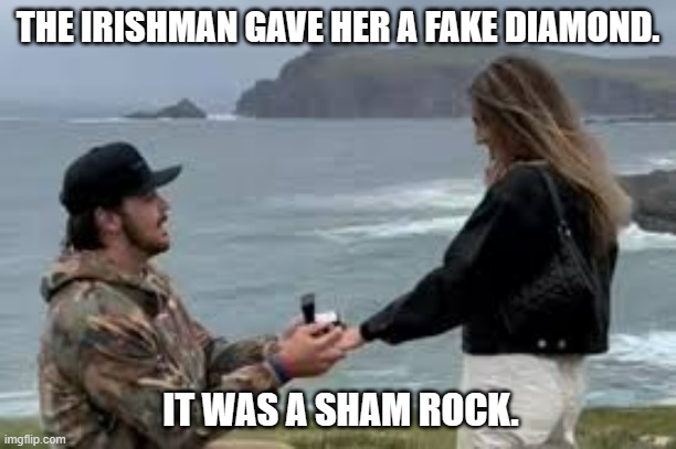 meme by Brad fake diamond ring by Irishman | THE IRISHMAN GAVE HER A FAKE DIAMOND. IT WAS A SHAM ROCK. | image tagged in humor | made w/ Imgflip meme maker