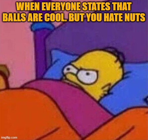 angry homer simpson in bed | WHEN EVERYONE STATES THAT BALLS ARE COOL. BUT YOU HATE NUTS | image tagged in angry homer simpson in bed | made w/ Imgflip meme maker
