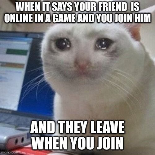 Crying cat | WHEN IT SAYS YOUR FRIEND  IS ONLINE IN A GAME AND YOU JOIN HIM; AND THEY LEAVE WHEN YOU JOIN | image tagged in crying cat | made w/ Imgflip meme maker