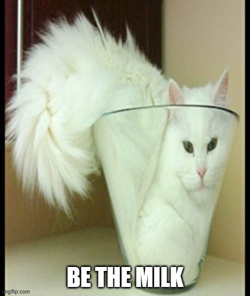 meme by Brad cat be the milk | BE THE MILK | image tagged in cat meme | made w/ Imgflip meme maker