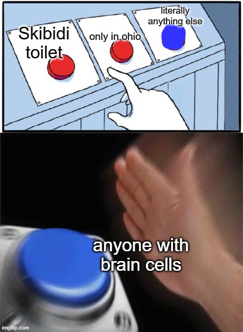 Three Buttons | Skibidi toilet only in ohio literally anything else anyone with brain cells | image tagged in three buttons | made w/ Imgflip meme maker