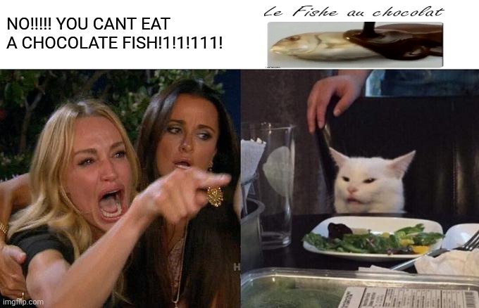 Woman Yelling At Cat | NO!!!!! YOU CANT EAT A CHOCOLATE FISH!1!1!111! | image tagged in memes,woman yelling at cat | made w/ Imgflip meme maker