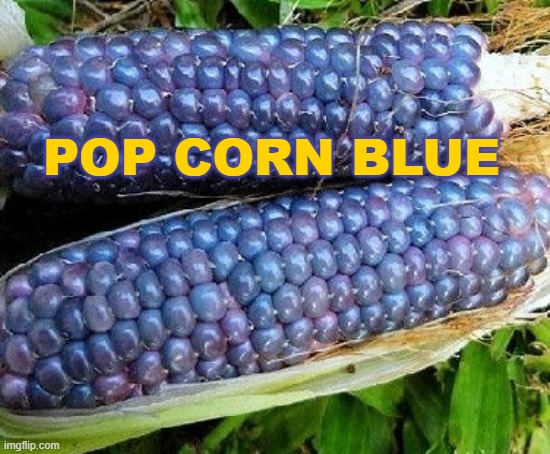 pop corn blue | POP CORN BLUE | made w/ Imgflip meme maker