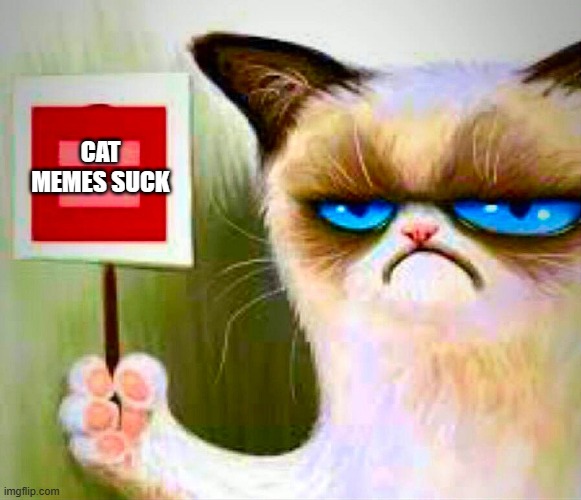 meme by Brad cat memes suck | CAT MEMES SUCK | image tagged in cat meme | made w/ Imgflip meme maker