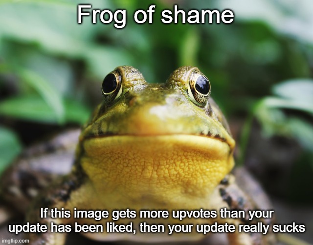why can't we go back to the way it was? | Frog of shame; If this image gets more upvotes than your update has been liked, then your update really sucks | image tagged in frog of shame | made w/ Imgflip meme maker
