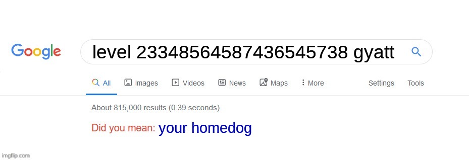 It's not wrong. | level 23348564587436545738 gyatt; your homedog | image tagged in did you mean,gyatt | made w/ Imgflip meme maker