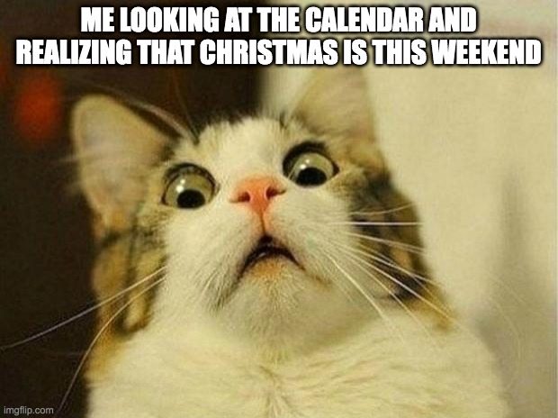 Scared Cat Meme | ME LOOKING AT THE CALENDAR AND REALIZING THAT CHRISTMAS IS THIS WEEKEND | image tagged in memes,scared cat | made w/ Imgflip meme maker