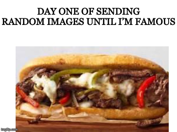 Make it popular | DAY ONE OF SENDING RANDOM IMAGES UNTIL I’M FAMOUS | image tagged in random | made w/ Imgflip meme maker
