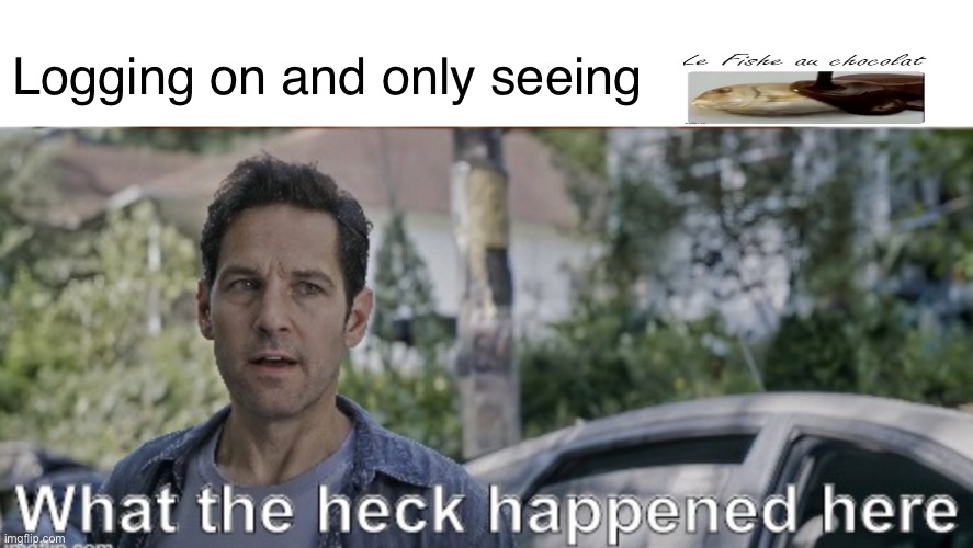 antman what the heck happened here | Logging on and only seeing | image tagged in antman what the heck happened here | made w/ Imgflip meme maker