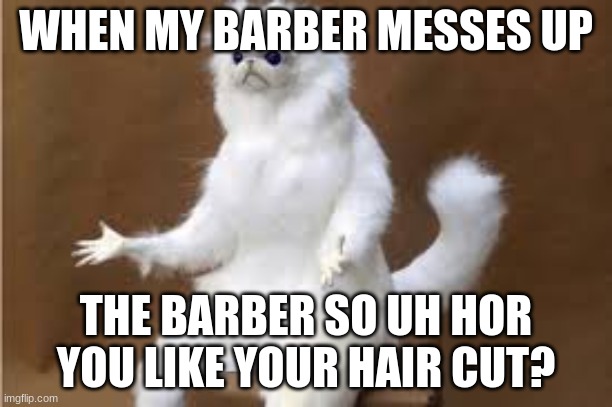 Angry Cat Meme | WHEN MY BARBER MESSES UP; THE BARBER SO UH HOR YOU LIKE YOUR HAIR CUT? | image tagged in angry cat meme | made w/ Imgflip meme maker