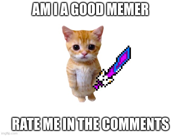 rate me | AM I A GOOD MEMER; RATE ME IN THE COMMENTS | image tagged in rate me | made w/ Imgflip meme maker
