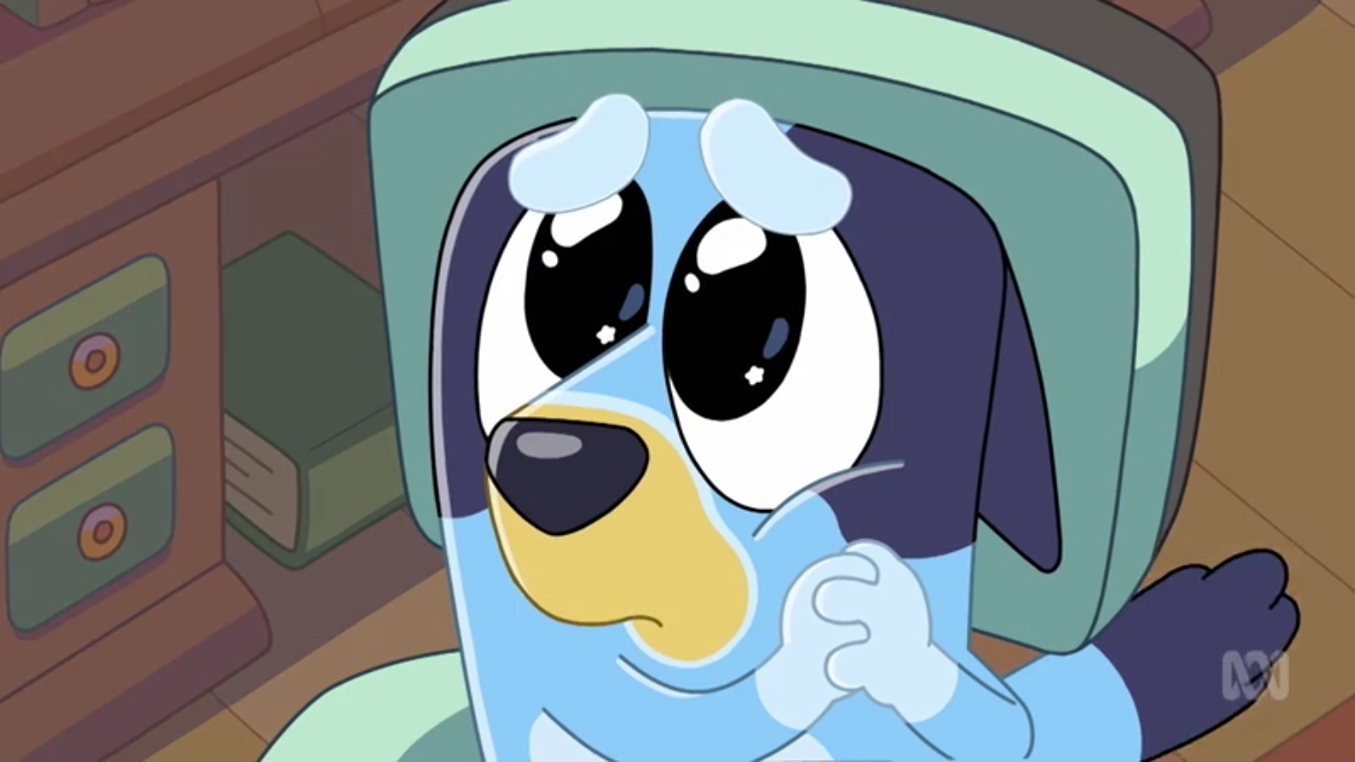 bluey please face Blank Meme Template