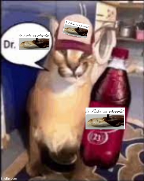 dr pebba | image tagged in dr pebba | made w/ Imgflip meme maker