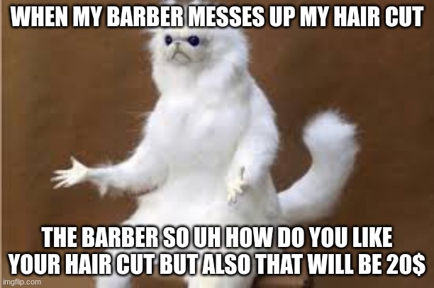 Angry Cat Meme | WHEN MY BARBER MESSES UP MY HAIR CUT; THE BARBER SO UH HOW DO YOU LIKE YOUR HAIR CUT BUT ALSO THAT WILL BE 20$ | image tagged in angry cat meme | made w/ Imgflip meme maker