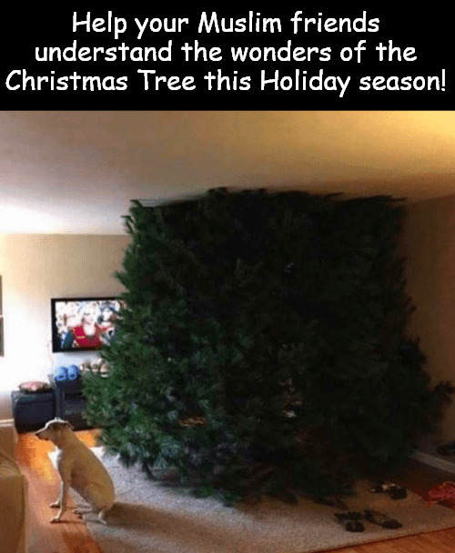The Chosen One | Help your Muslim friends understand the wonders of the Christmas Tree this Holiday season! | image tagged in memes,dark humor,christmas tree | made w/ Imgflip meme maker