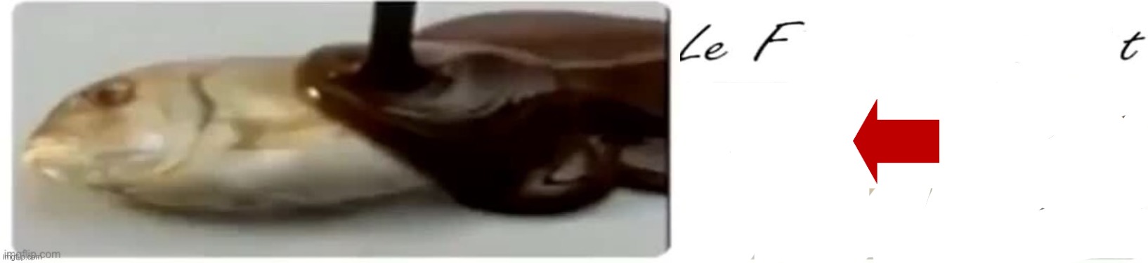 LeFt | image tagged in le fishe au chocolat | made w/ Imgflip meme maker