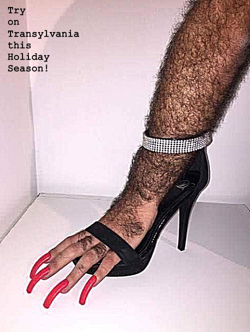Shopping for a Transylvanian Holiday | Try on 
Transylvania
this 
Holiday
Season! | image tagged in memes,dark humor | made w/ Imgflip meme maker