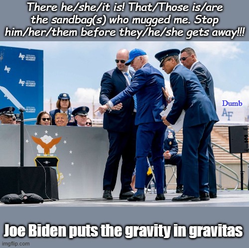 Joe decided it was a good time to demonstrate his mastery of pronouns and blame shifting... | There he/she/it is! That/Those is/are the sandbag(s) who mugged me. Stop him/her/them before they/he/she gets away!!! Dumb; Joe Biden puts the gravity in gravitas | image tagged in biden blame | made w/ Imgflip meme maker