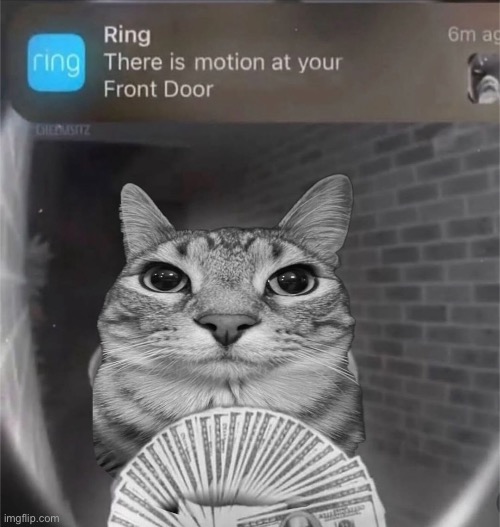 wspp | image tagged in motion | made w/ Imgflip meme maker