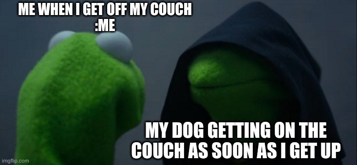 Evil Kermit | ME WHEN I GET OFF MY COUCH
:ME; MY DOG GETTING ON THE COUCH AS SOON AS I GET UP | image tagged in memes,evil kermit | made w/ Imgflip meme maker