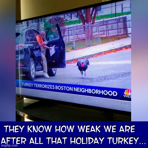 Revenge of the Killer Turkeys | image tagged in vince vance,turkeys,memes,breaking news,tryptophan,the other white meat | made w/ Imgflip meme maker