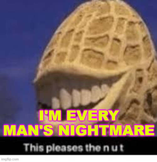 This pleases the nut | I'M EVERY MAN'S NIGHTMARE | image tagged in this pleases the nut | made w/ Imgflip meme maker